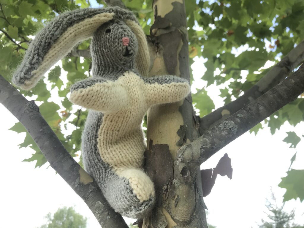 grey and white knitted rabbit high up in a sycamore tree