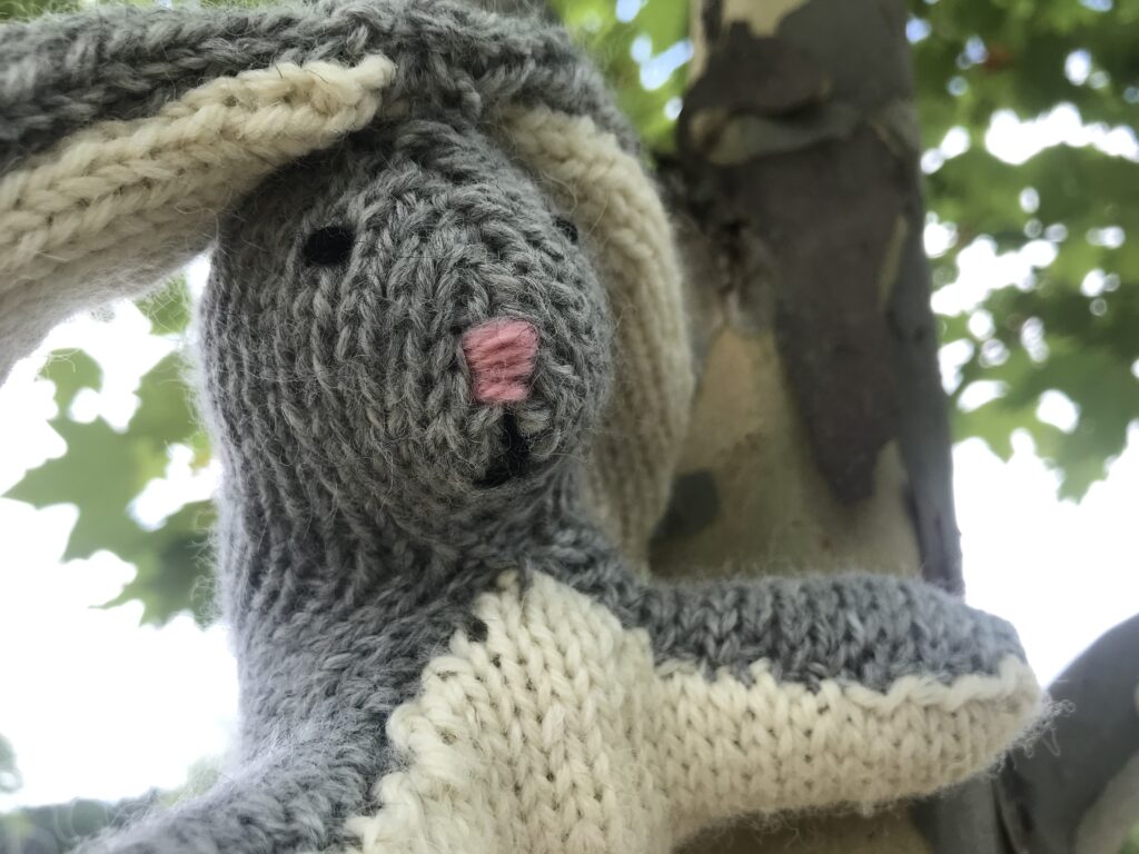 grey and white knitted rabbit face in a sycamore tree