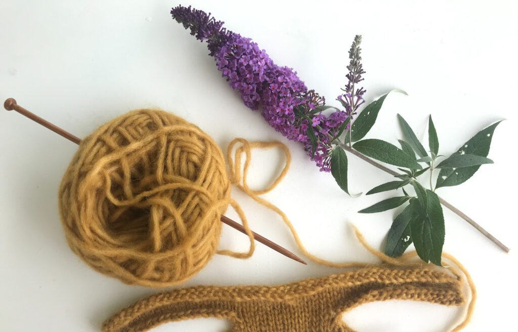 one wooden knitting needle poking through a yellow ball of yarn with some knitted work and a purple flower on a white background