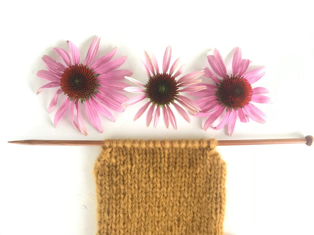 one wooden knitting needle with yellow knitted work hanging on it with three purple flowers on a white background