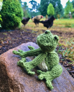 knit frog on a rock with chickens in the background