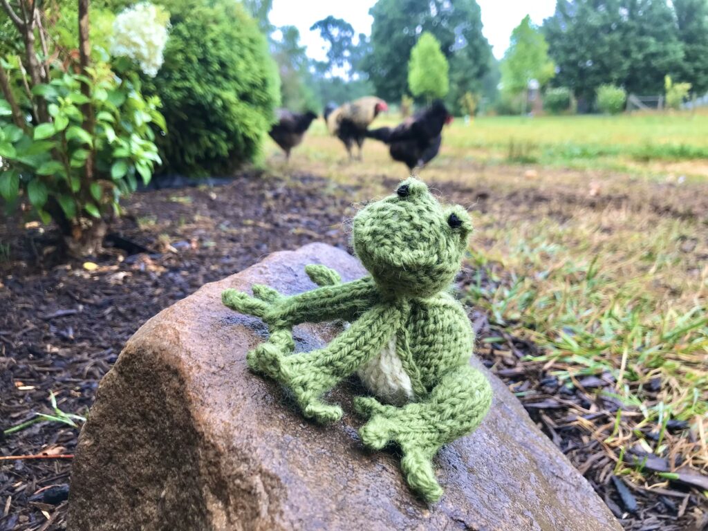 knit frog sitting on a wet rock on a rainy day with chickens in the background