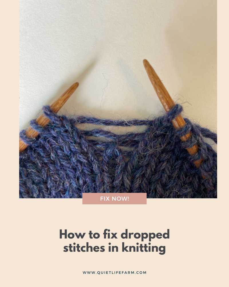 How to Pick up a Dropped Knit Stitch: Fix Any Scenario! - Quiet Life Farm