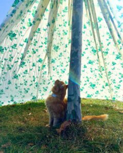 Tree Tent: Free Sewing Pattern and Tutorial