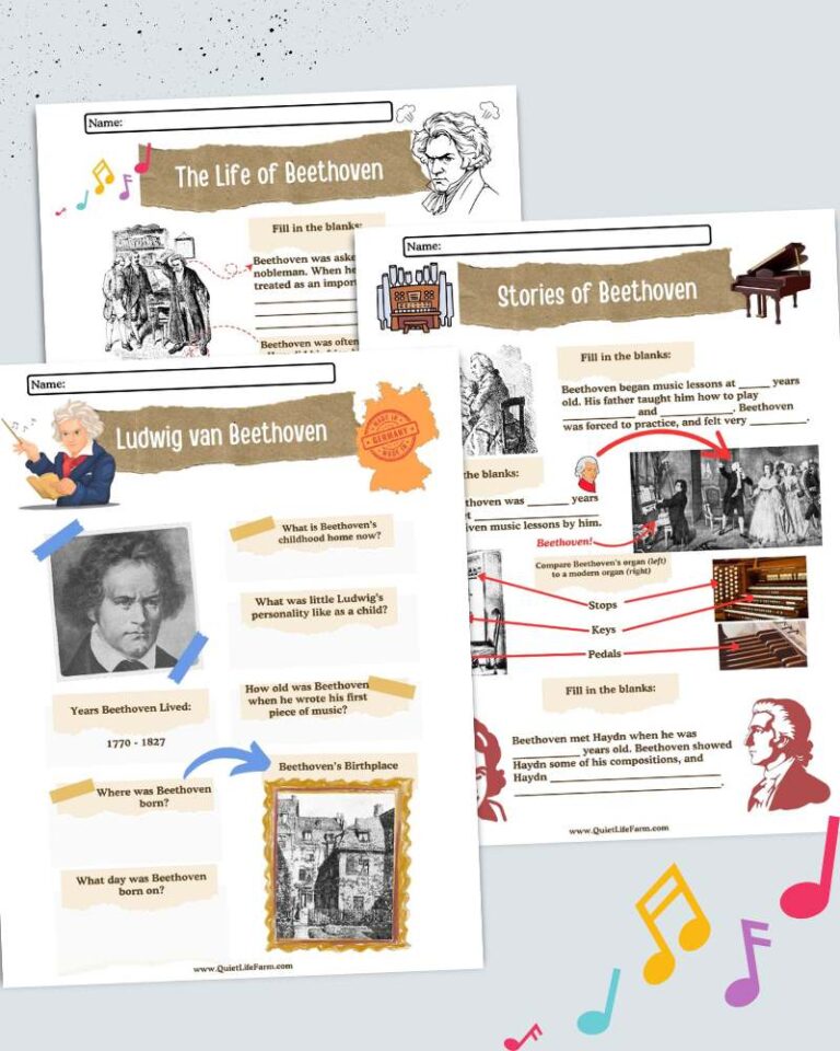 Beethoven: Free Music History Study