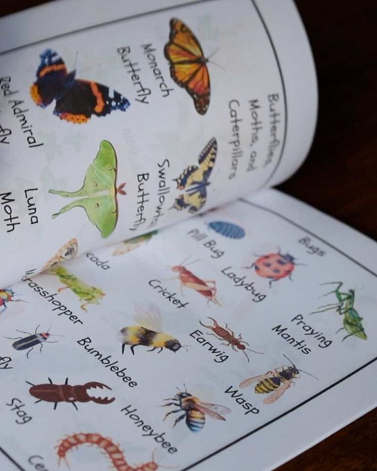 Free Nature Journal For Children