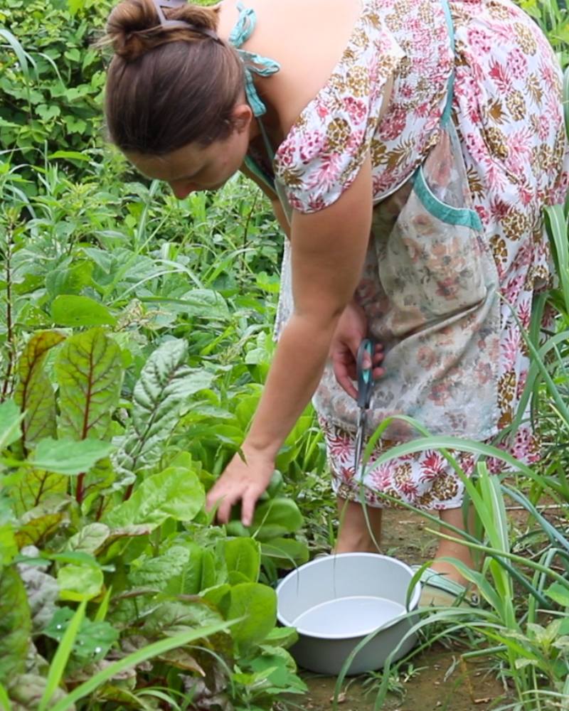 Should You Start a Homestead? Ask Yourself These 20 Questions