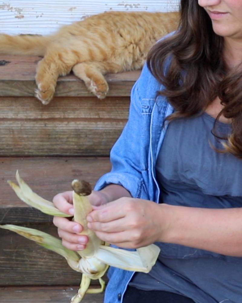 Homesteading on a Budget: Where We Save the Most Money